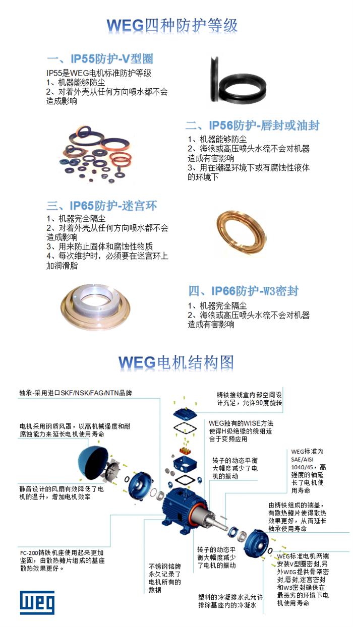 WEG進口粉塵防爆電機防護等級和結構圖